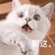 指极