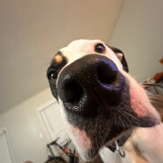 uhh_doug
