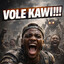 VoleKawi