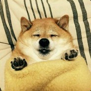 两梭子没看清对面甲