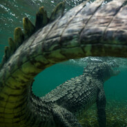 carpenter reps o block