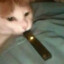 Juul Cat