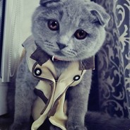 ПуПыРкА)Uchiha