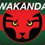 ︻  一 WaKanDa ︻