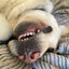 b.artiz