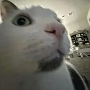 不玩了要考大学