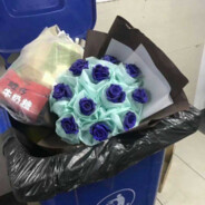 喜欢悉尼的牛牛