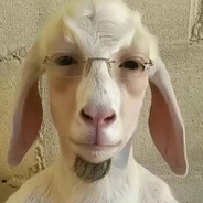 мистер козол