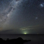 栖息于温柔花海