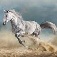 GaryGallop
