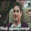 огузок