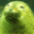 pickle