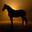 Horse With No Name