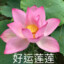 梦里梦到醒不来的梦