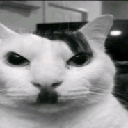 الأقوى في كل شيء