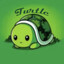 lilturtle