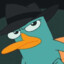 Perry the platypus