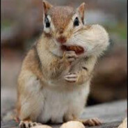 NIK.name (sereno frate)