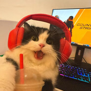 Mr.猹