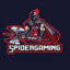 SpiderGaming2012