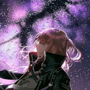 帕拉蒂斯万年雪