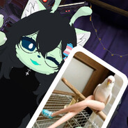 KurryMeow