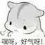 污了个鱼了