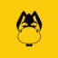 PanDiCK