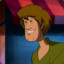 Shaggy Rogers