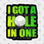 HOLE-IN-ONE