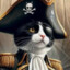 Captain Kitty