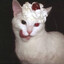 忧郁小猫