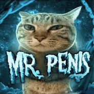 Mr. Penis