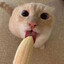 Kicik Bananowy