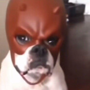 xdaarknezx - steam id 76561198325432922