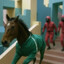 Cavalildo99