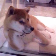® - steam id 76561197960477493