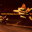 Solo_wing_pixy