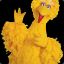 Big Bird