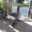 Duck With Sandals avatar