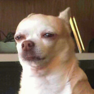 𝑴𝒂𝒔𝒉𝒊𝒓s