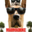 Marmaduke