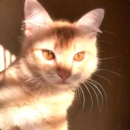 不是兔子是你爹