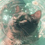 Axle
