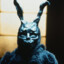 Donnie Darko