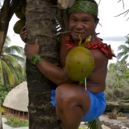 шляпка собаки