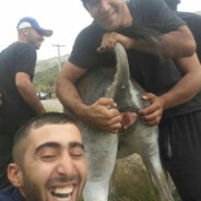 Черкессс Пират