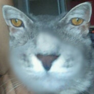 pvpepper1 - steam id 76561198336198413