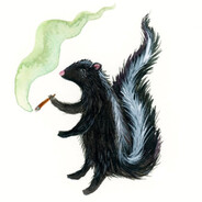 skunk