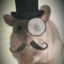 101mouse